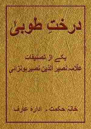 Darakht-iTooba1 (1) - Urdu Books