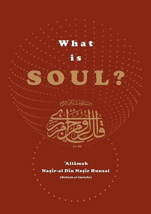 WhatisSoul- - English Books